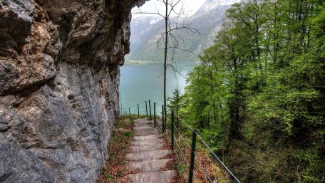 Serene Pathway to Nature's Beauty wallpaper