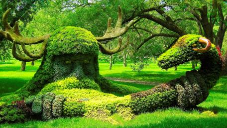 Nature's Enchanted Forest Sculpture Garden wallpaper