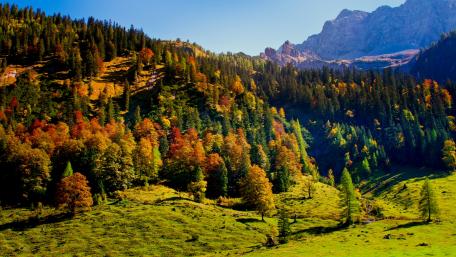 Vibrant Autumn Landscape in the Mountains wallpaper