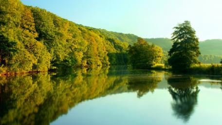Serene Reflection of Nature's Splendor wallpaper