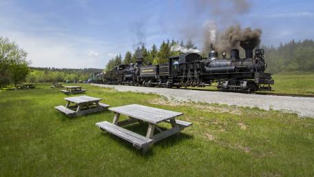 Classic Trains in Nature's Embrace wallpaper