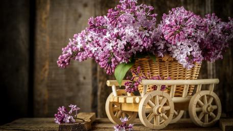 Charming Lilac Arrangement in a Wooden Cart wallpaper