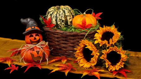Festive Halloween Pumpkin Arrangement wallpaper