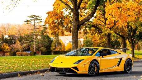 Vibrant Autumn with a Stunning Yellow Sports Car wallpaper