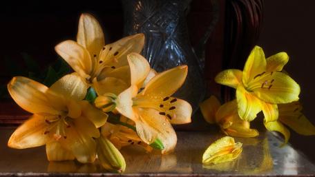 Golden Lilies in Blooming Elegance wallpaper