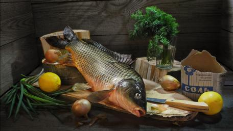 Fresh Fish and Ingredients Displayed Artfully wallpaper