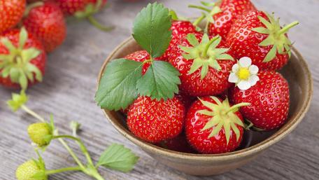 Fresh and Juicy Strawberries in a Bowl wallpaper