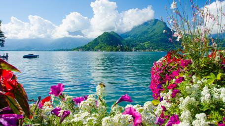 Serene Lakeside in Bloom wallpaper