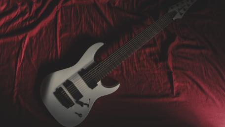 Electric Guitar on Rich Velvet Fabric wallpaper