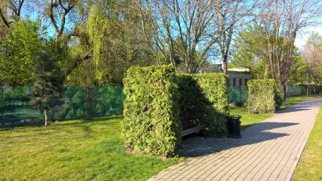 Greenery in Urban Park Scene for Nature Lovers wallpaper