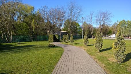 Serene City Park Pathway View 4K Wallpaper wallpaper