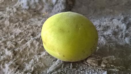 Fresh Green Fruit on Rustic Background wallpaper