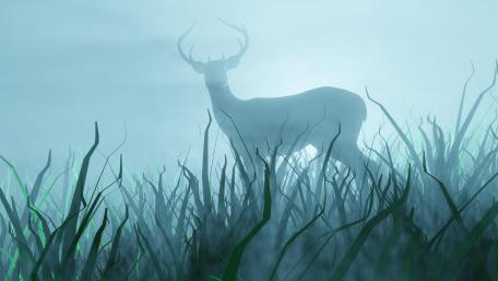 Misty Stag in Ethereal Morning Light wallpaper