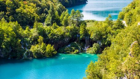 Tranquil Aquatic Serenity for Your Screen wallpaper