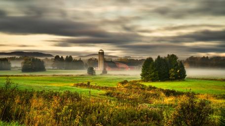 Tranquil Morning in Rural Grassland wallpaper