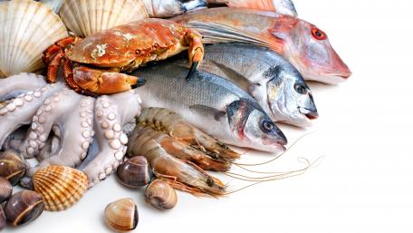 Delicious Seafood Array for Your Kitchen Decor wallpaper