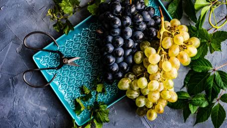 Vibrant Grapes and Scissors Arrangement wallpaper