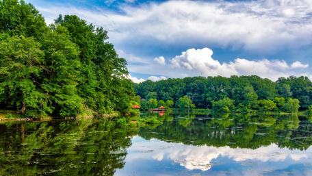 Tranquil Lakeside Reflections in Nature wallpaper