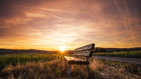 Serene Bench at Sunset Overlooking Fields wallpaper