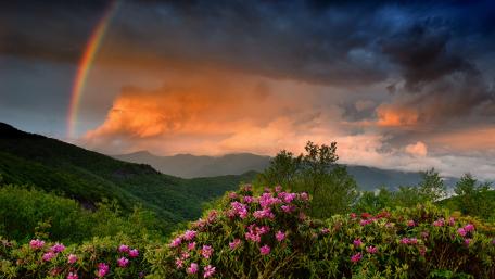 Breathtaking Scenic Rainbow Over Mountain Landscape wallpaper