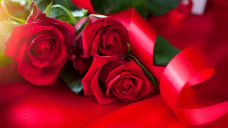 Elegant Red Roses on a Silk Background wallpaper