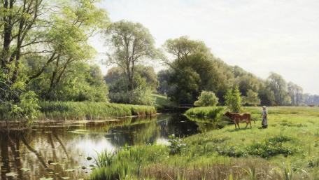 Tranquil Countryside Reflections in Nature wallpaper