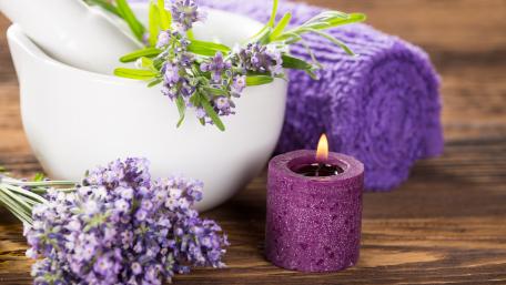 Calming Lavender Essentials for Relaxation wallpaper