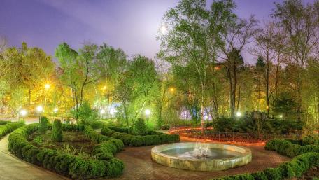 Serene Night in a Lush Garden wallpaper