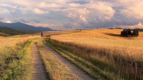 Tranquil Country Pathway at Sunset wallpaper