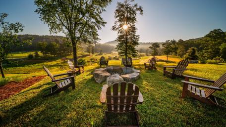 Serene Garden Retreat with Sunny Benches wallpaper
