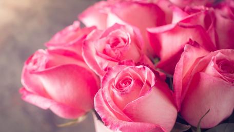 Delicate Pink Roses Bouquet Wallpaper wallpaper
