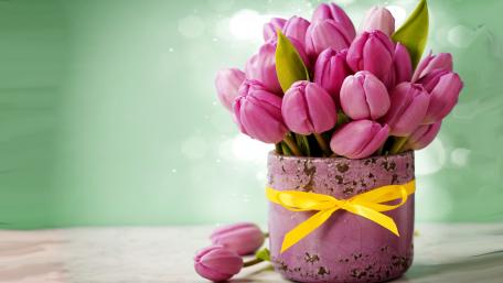 Elegant Pink Tulips in Soft Colors wallpaper