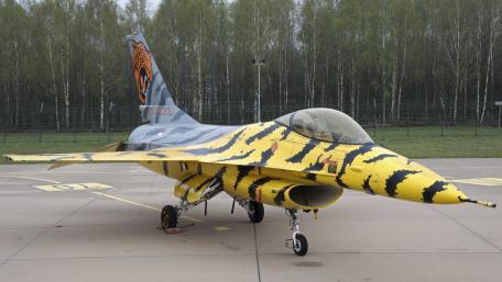 Fierce Tiger Stripes on Military Jet wallpaper