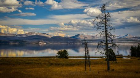 Majestic Reflections of Nature's Splendor wallpaper