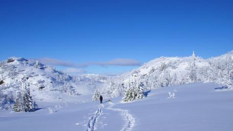 Winter Wonderland Escape in Snowy Landscape wallpaper