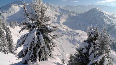 Winter Wonderland in Serene Mountains wallpaper