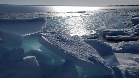 Frozen Serenity in Nature's Grip wallpaper
