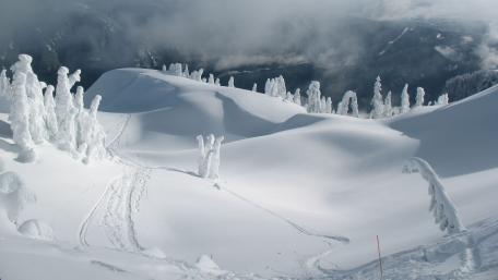 Serene Winter Landscape with Snowy Peaks and Trees wallpaper