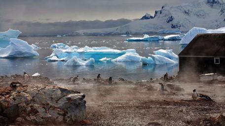 Majestic Antarctic Landscape with Penguins and Icebergs wallpaper