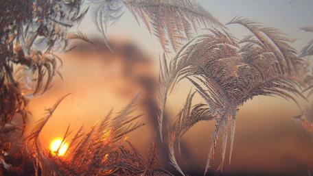 Glistening Frost at Sunrise wallpaper