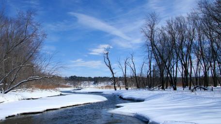 Winter Serenity in a Snowy Landscape wallpaper