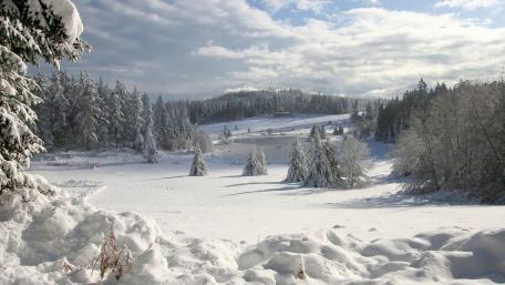 Winter Wonderland in Tranquil Nature Scene wallpaper