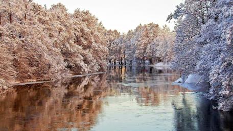 Winter Serenity by the Frozen River wallpaper