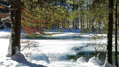 Serene Winter Landscape with Frozen Lake wallpaper