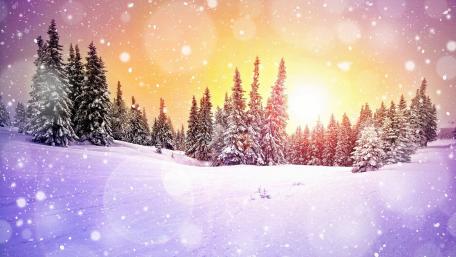 Serene Winter Sunset Over Snowy Pines wallpaper