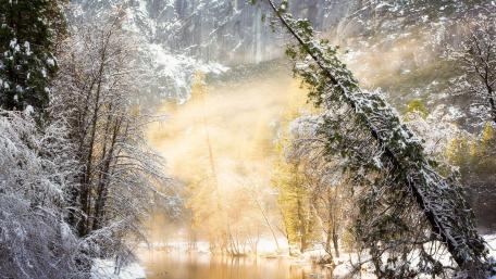 Winter's Embrace in a Serene Landscape wallpaper
