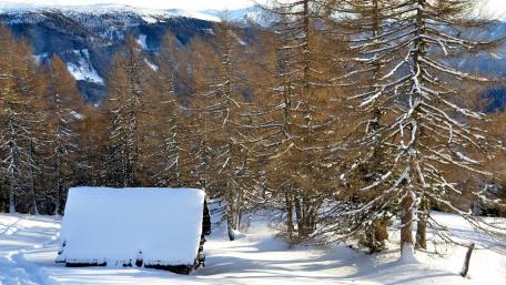 Snowy Tranquility in the Mountains wallpaper