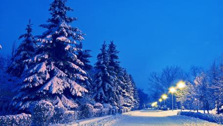 Winter Wonderland at Dusk wallpaper
