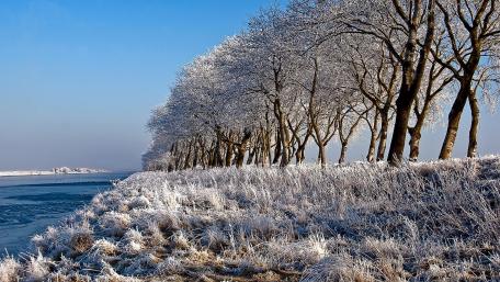 Winter Wonderland of Frosty Serenity wallpaper
