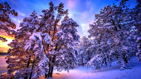 Winter Wonderland at Dusk wallpaper